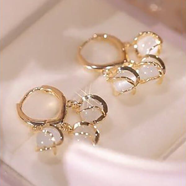 Gold Hoop Earring